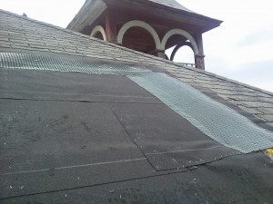 Roof Mesh