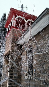 Snow trees