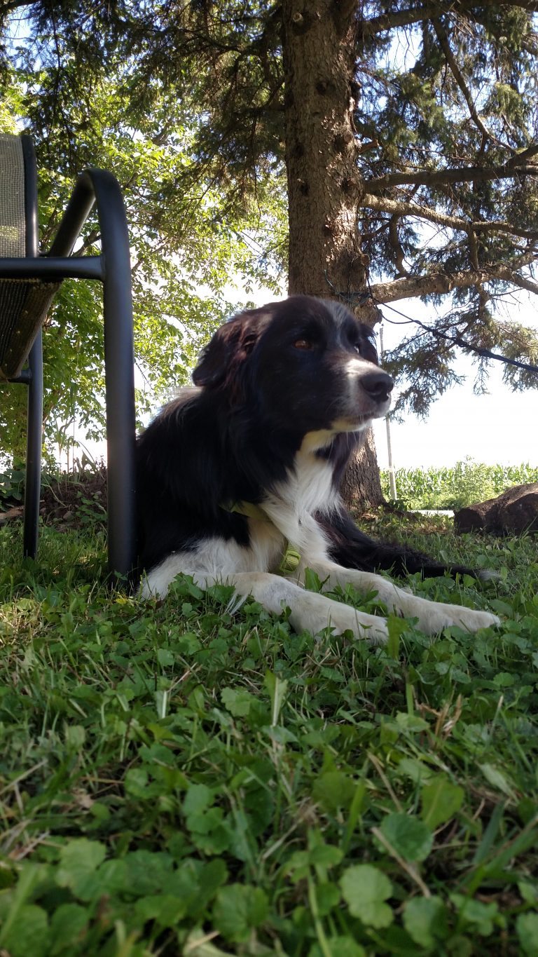 Raising the Flag (pole)