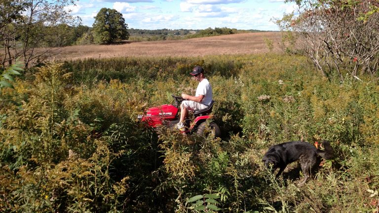 Schoolhouse Soap Opera?