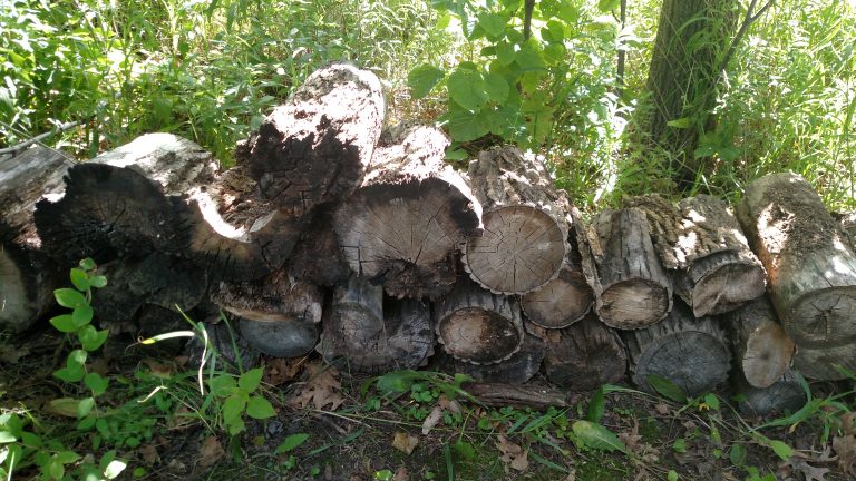 A New Vocabulary List