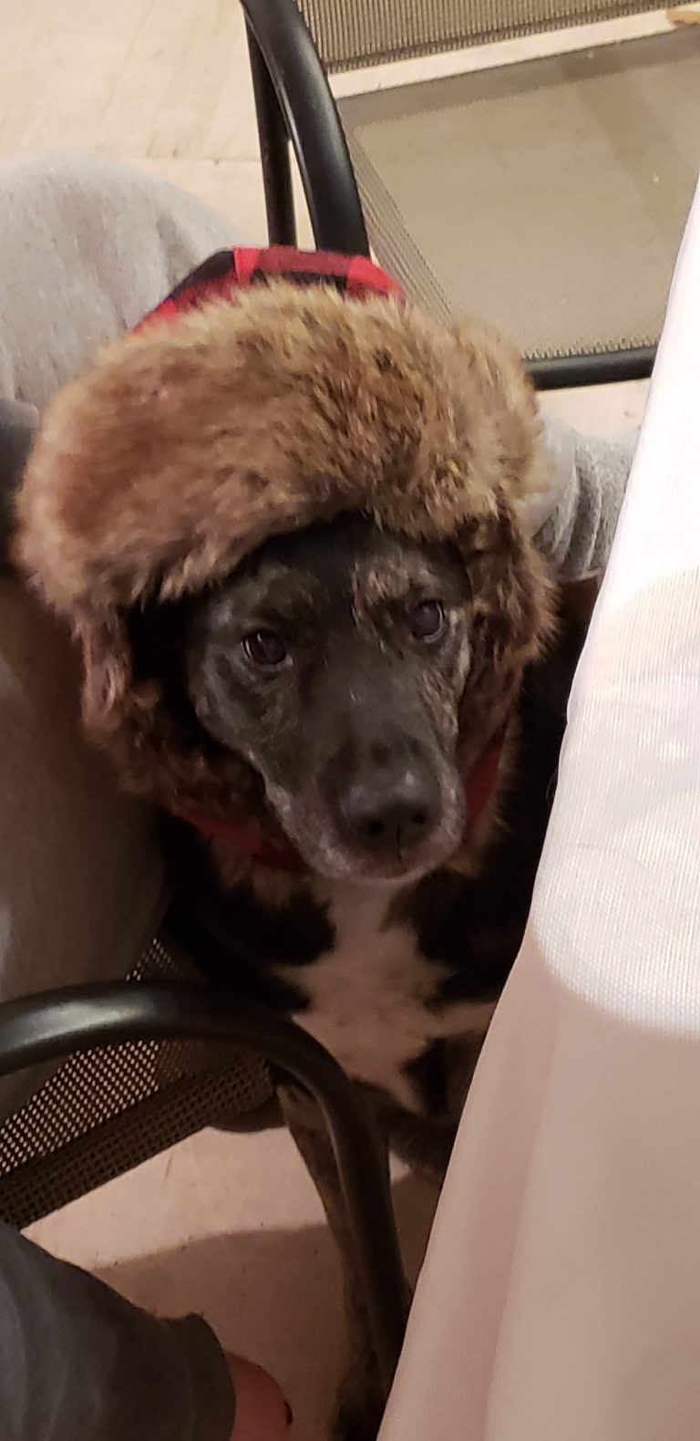 Merry Christmas to All!