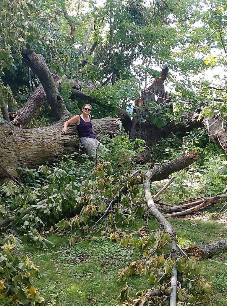 Someone Smashed My SheShed!