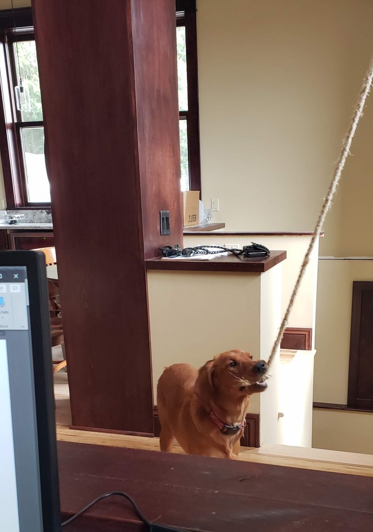 A Visit from St Nicolas