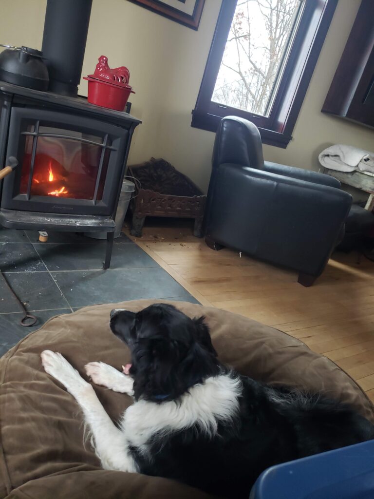 fireplace and dog